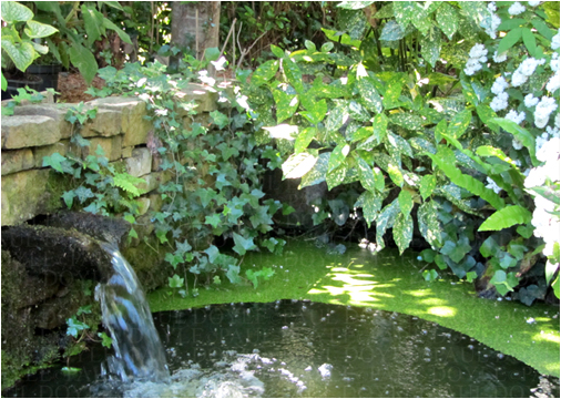 Linden Garden